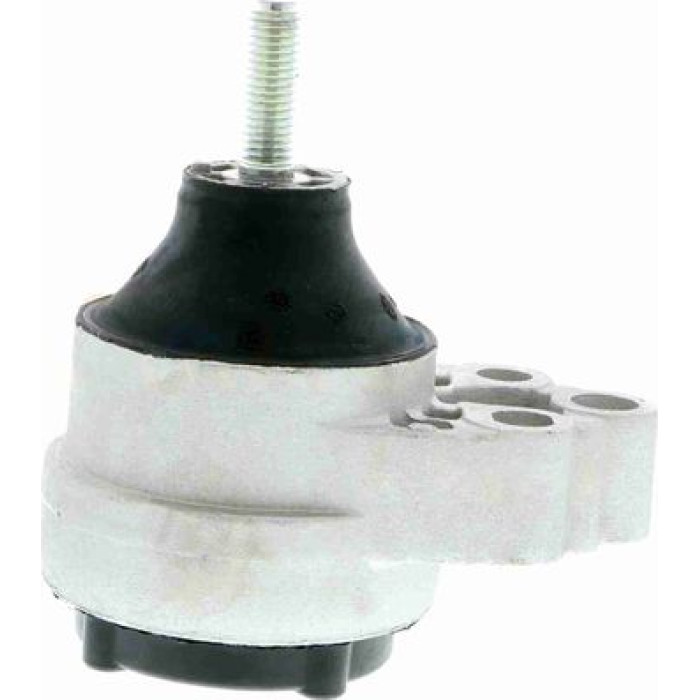 Vaico V25-0170 Lagerung, Motor