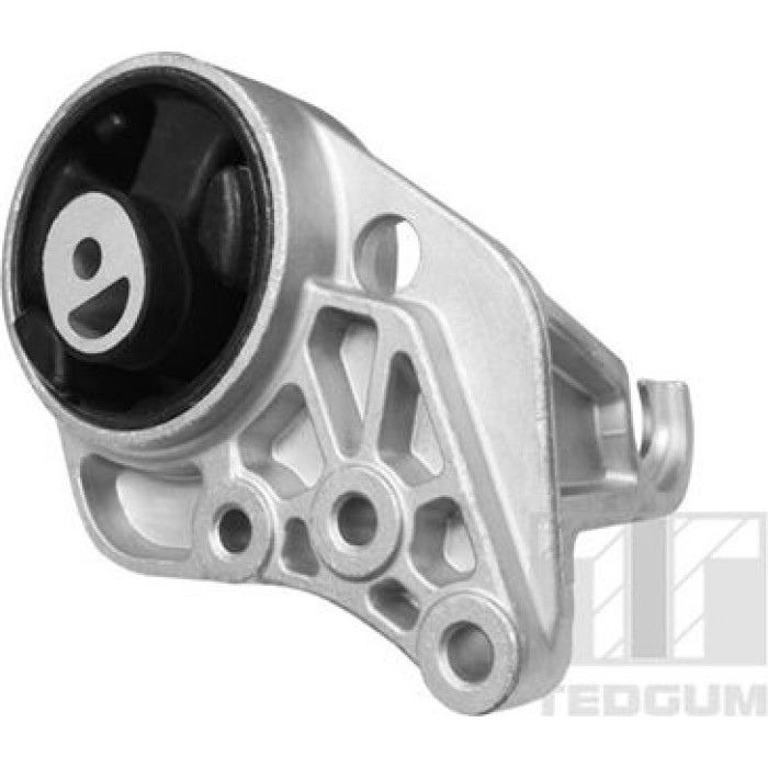 Tedgum TED36922 Lagerung, Motor