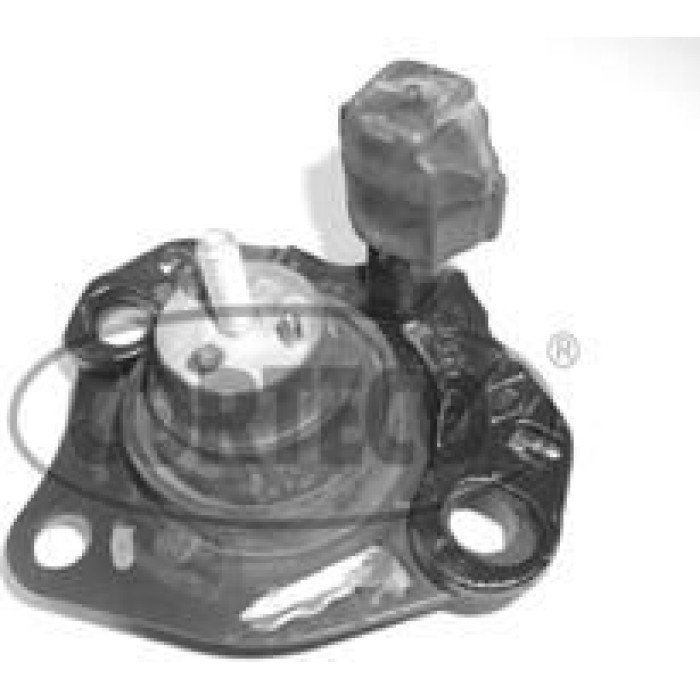 Corteco 21652472 Lagerung, Motor