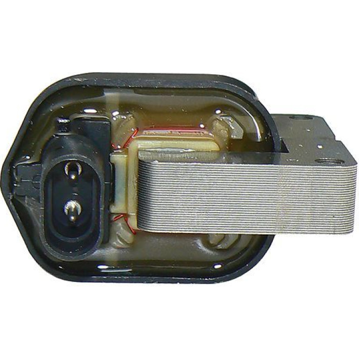 Zündspule 0880165 Zündspule 0880165