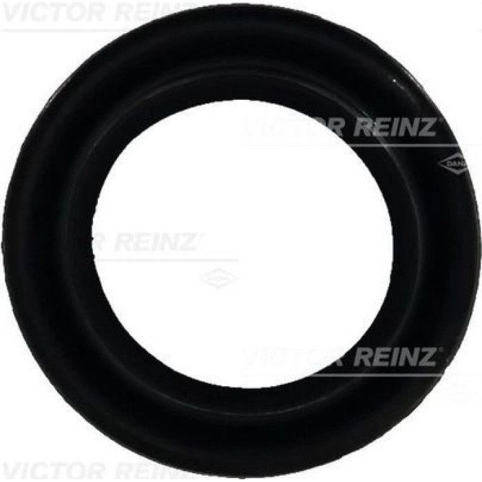 Victor Reinz 71-25876-00 Dichtung, Ansaugkrümmergehäuse Victor Reinz 71-25876-00 Dichtung, Ansaugkrümmergehäuse