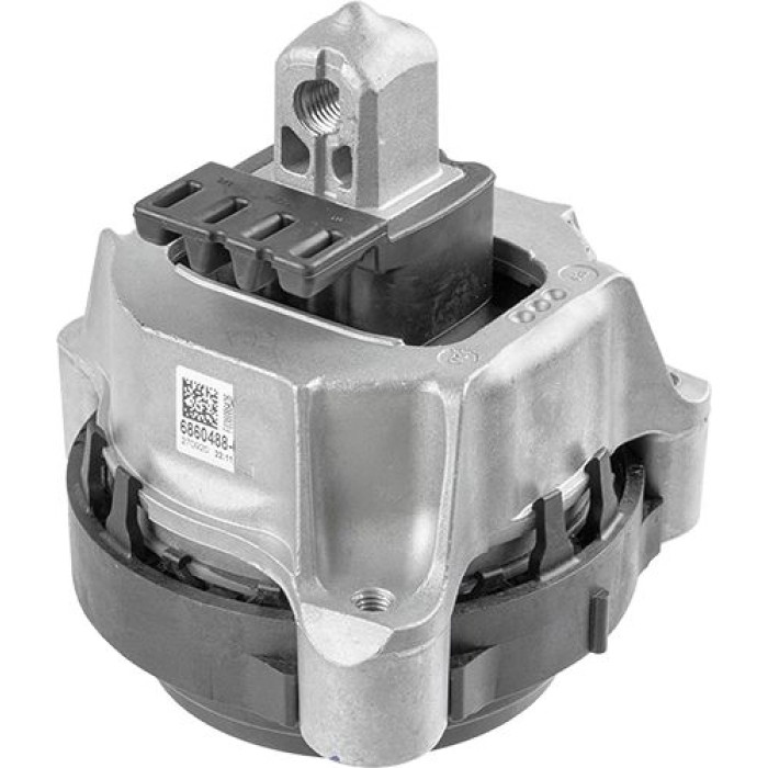 Lemförder 42568 01 Lagerung, Motor