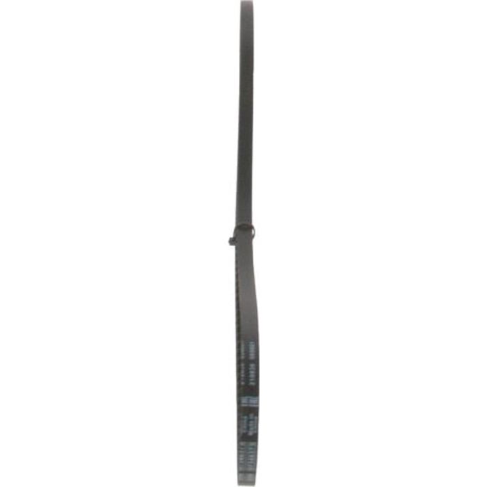 BOSCH 1 987 947 613 Keilriemen