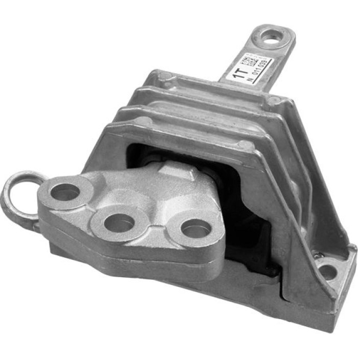 Lemförder 35822 01 Lagerung, Motor