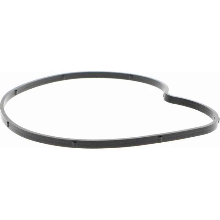 Vaico V10-50066 Wasserpumpe