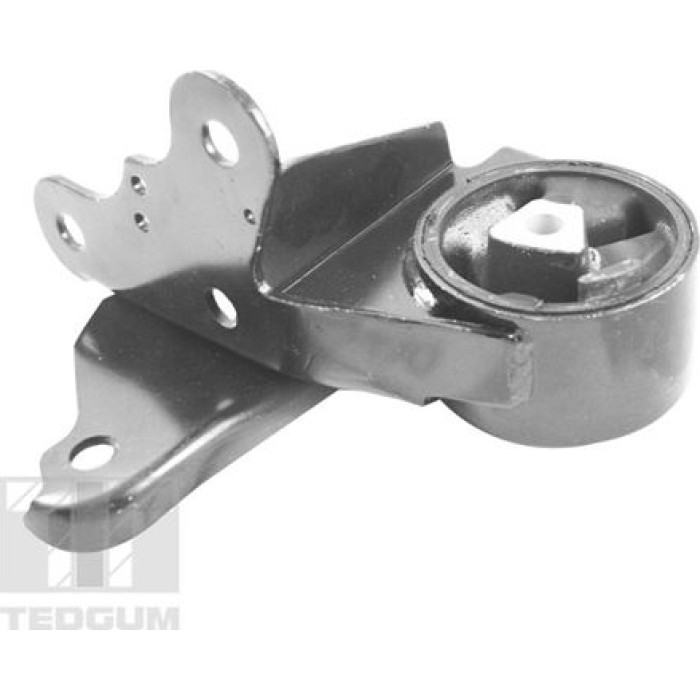 Tedgum 00131530 Lagerung, Motor