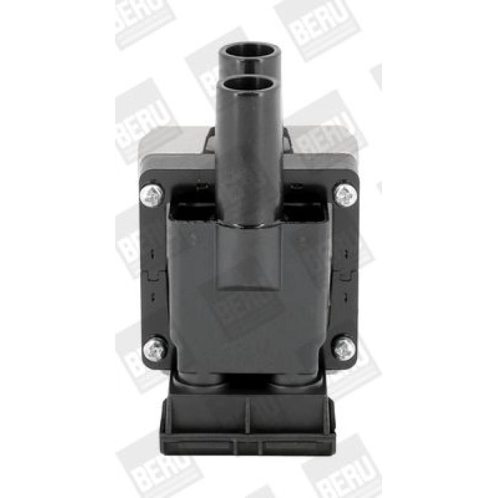 BorgWarner (BERU) ZS313 Zündspule