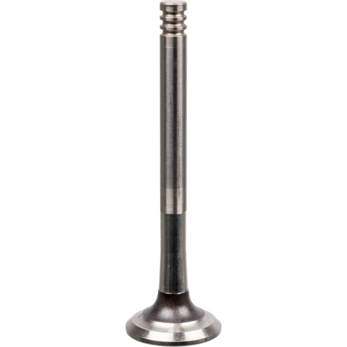 FEBI BILSTEIN 21008 Auslassventil FEBI BILSTEIN 21008 Auslassventil