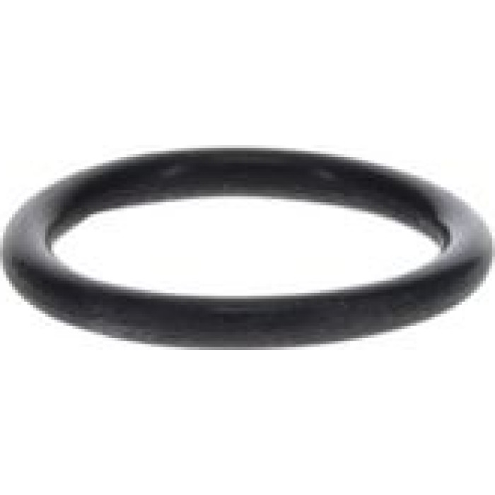 BOSCH 1 420 210 028 Dichtung, Rahmen Hauptscheinwerfer