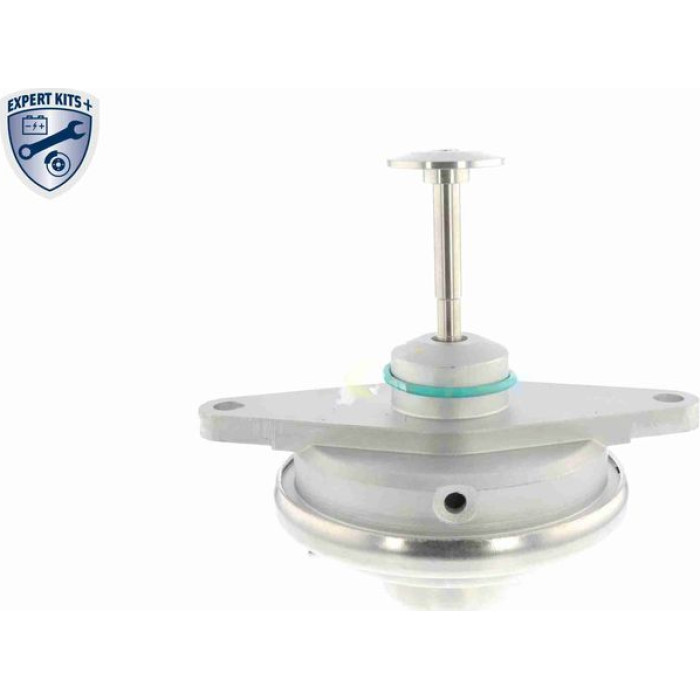 Vemo V40-63-0019 AGR-Ventil Expert Kits + Vemo V40-63-0019 AGR-Ventil Expert Kits +
