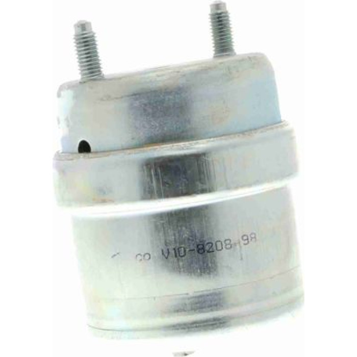 Vaico V10-8208 Lagerung, Motor