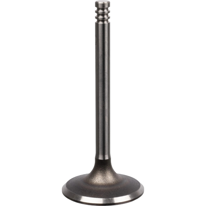 FEBI BILSTEIN 21040 Einlassventil
