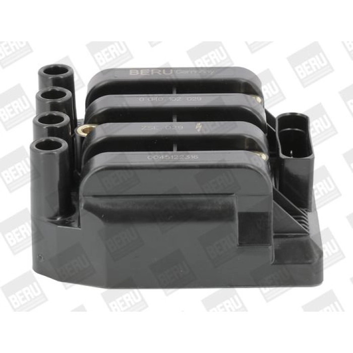 BorgWarner (BERU) ZSE029 Zündspule