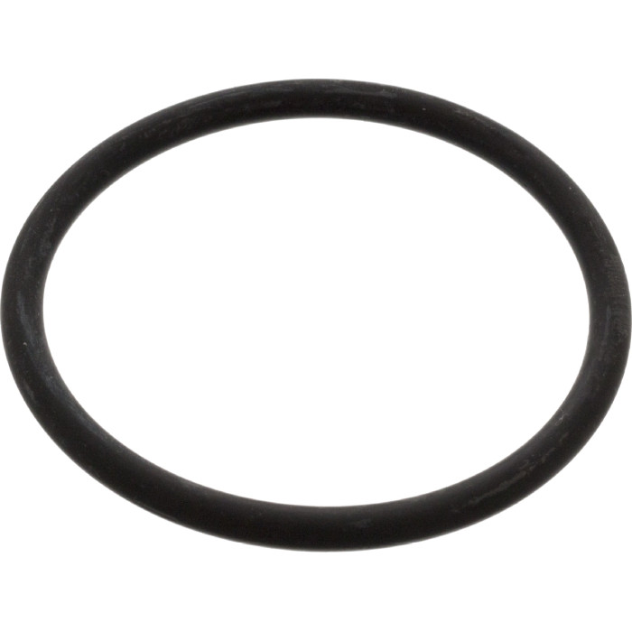 FEBI BILSTEIN 17966 Dichtung, Thermostat FEBI BILSTEIN 17966 Dichtung, Thermostat