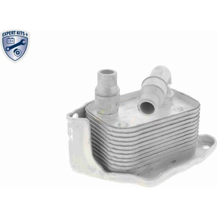Vemo V20-60-0031 Ölkühler, Motoröl Expert Kits +