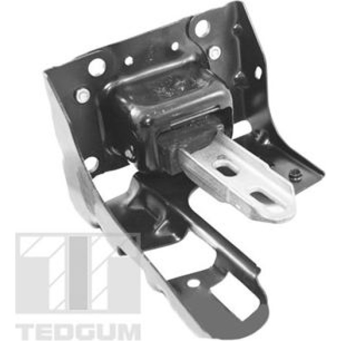 Tedgum TED46367 Lagerung, Motor