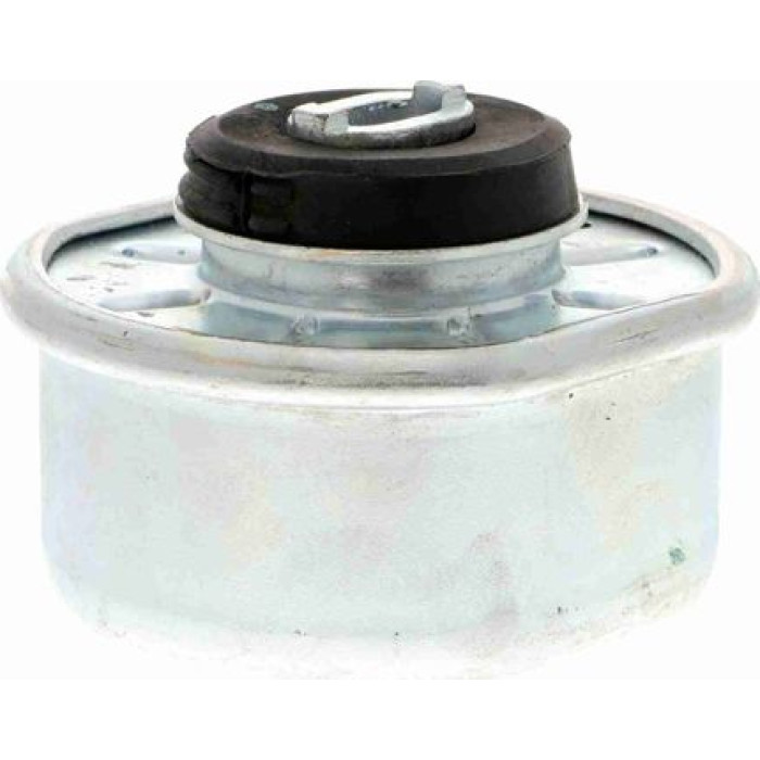 Vaico V10-1324 Lagerung, Motor