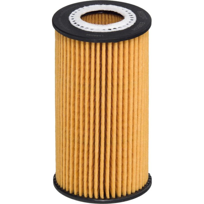Hengst Filter E981H D529 Ölfilter