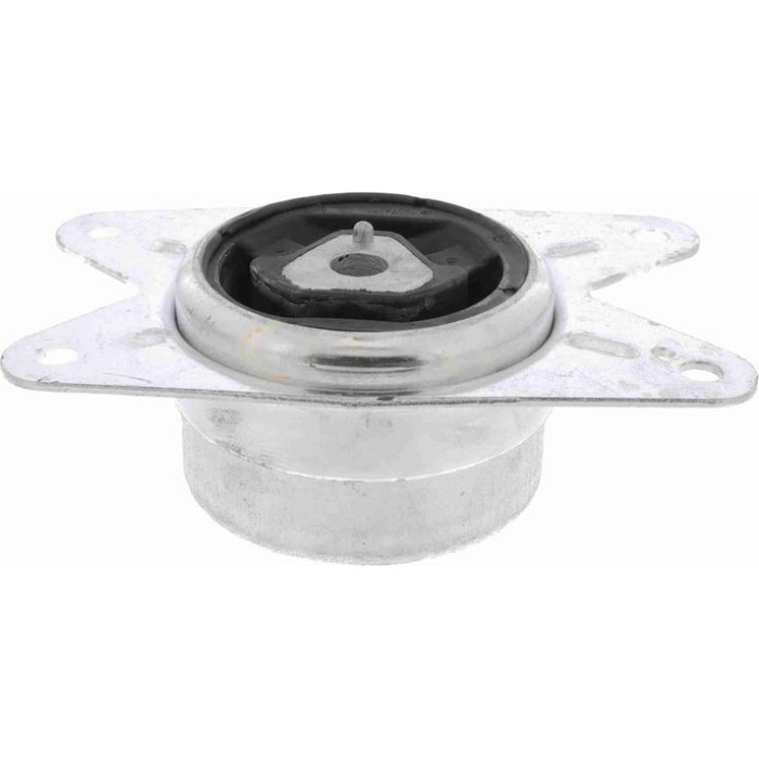 Vaico V40-0400 Lagerung, Motor