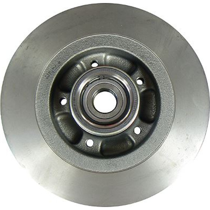 Bremsscheibe 6110008 Bremsscheibe 6110008