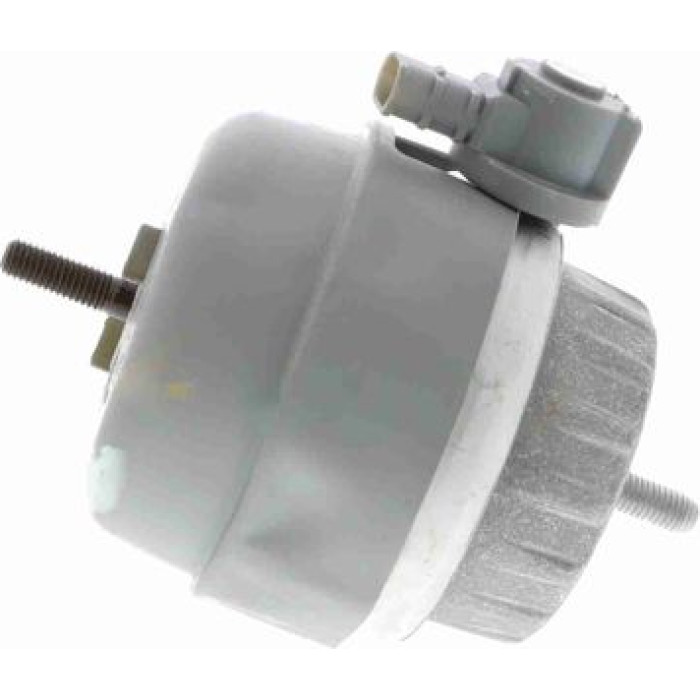 Vaico V10-3134 Lagerung, Motor