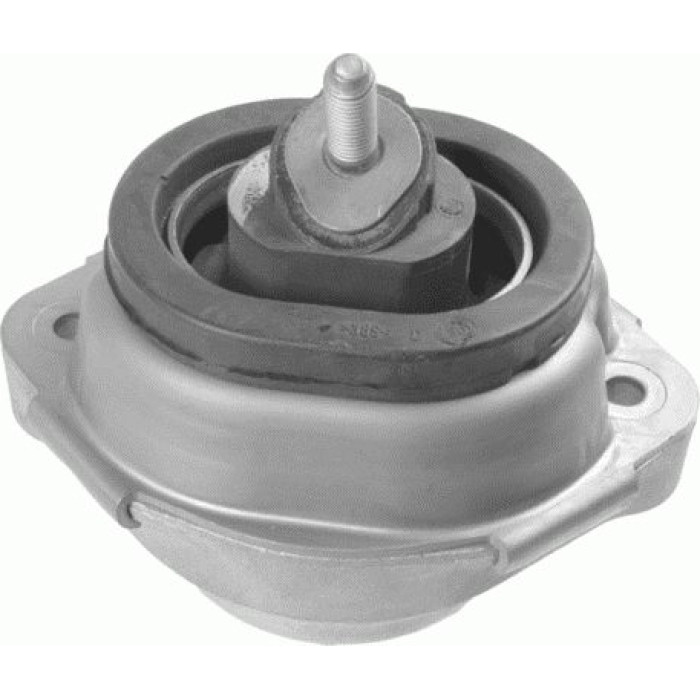 Lemförder 33243 01 Lagerung, Motor
