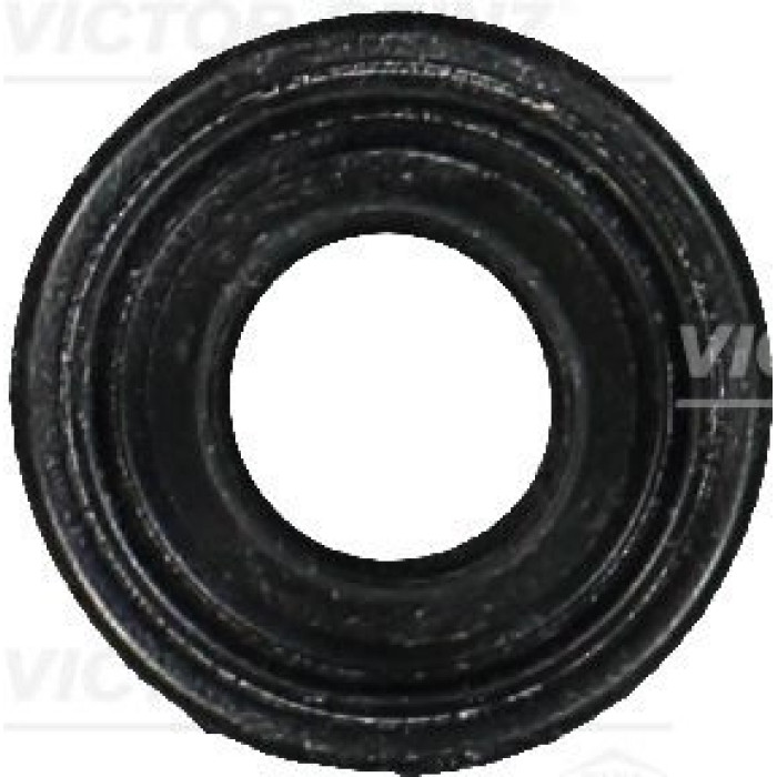 Victor Reinz 71-31694-00 Dichtung, Zylinderkopfhaubenschrauben