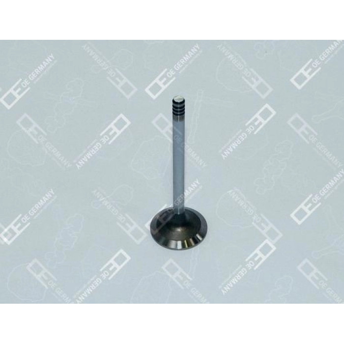 6x Einlassventil für Deutz BFM 2012 TCD 4L 2012 2V TCD 6L 2012 2V TD 420 VE TAD 6x Einlassventil für Deutz BFM 2012 TCD 4L 2012 2V TCD 6L 2012 2V TD 420 VE TAD