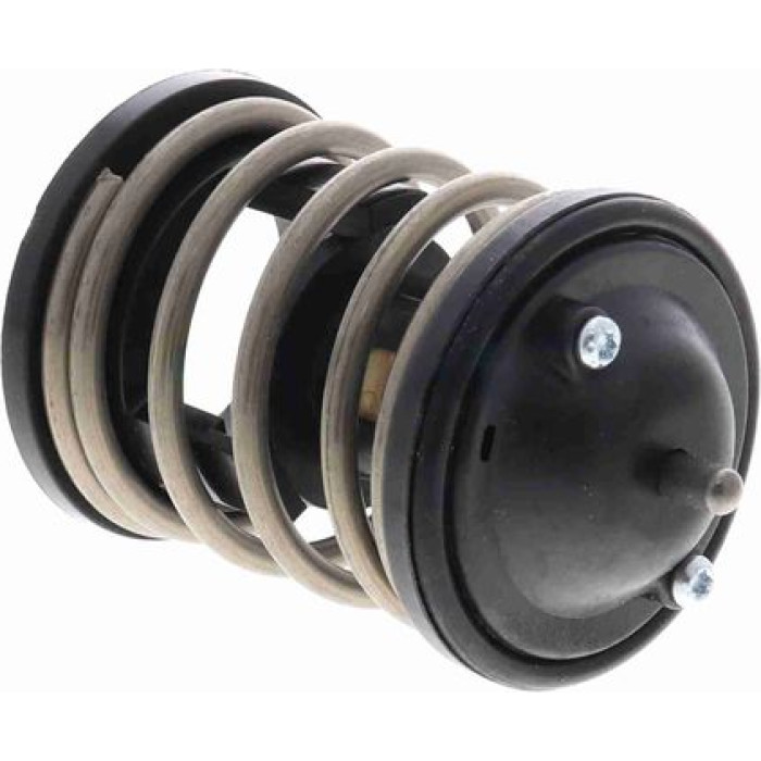 Thermostat, Kühlmittel V20-99-0169