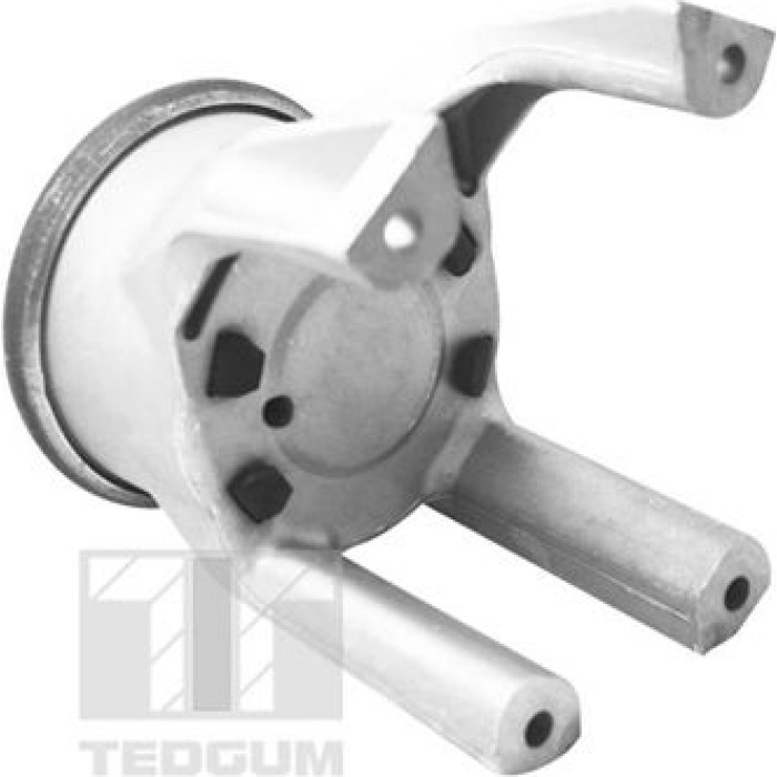 Tedgum 00725748 Lagerung, Motor Tedgum 00725748 Lagerung, Motor