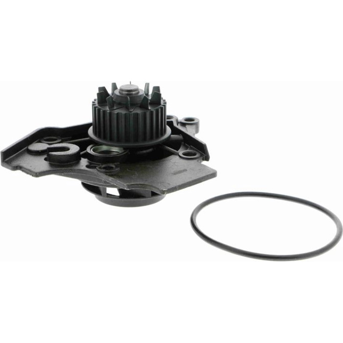 Vaico V10-50072 Wasserpumpe Green Mobility Parts Vaico V10-50072 Wasserpumpe Green Mobility Parts