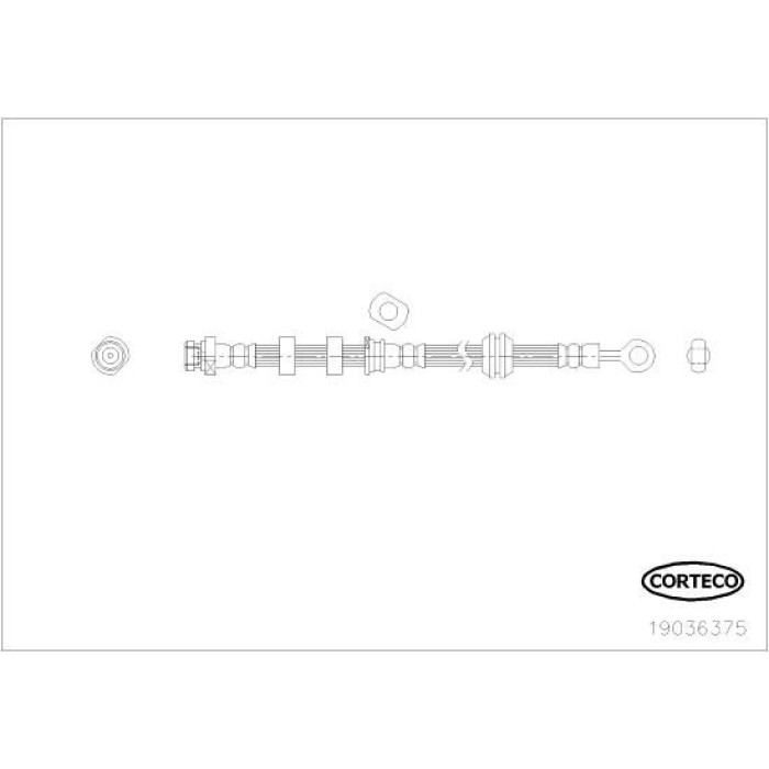 Corteco 19036375 Bremsschlauch