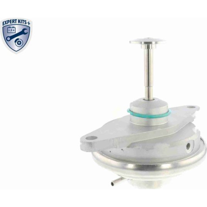 Vemo V40-63-0019 AGR-Ventil Expert Kits + Vemo V40-63-0019 AGR-Ventil Expert Kits +
