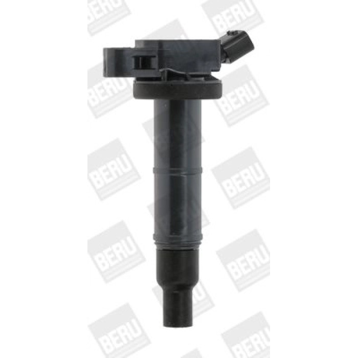 BorgWarner (BERU) ZSE171 Zündspule