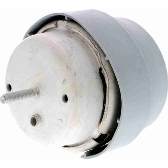 Vaico V10-2960 Lagerung, Motor