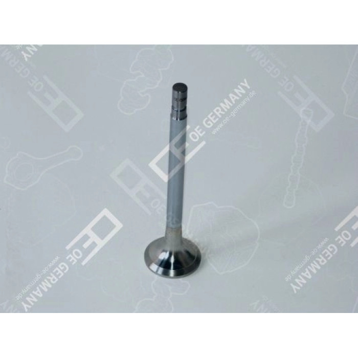 6x Einlassventil für Mercedes Benz OM 364 A/LA OM 366 A/LA 366 050 03 26 6x Einlassventil für Mercedes Benz OM 364 A/LA OM 366 A/LA 366 050 03 26