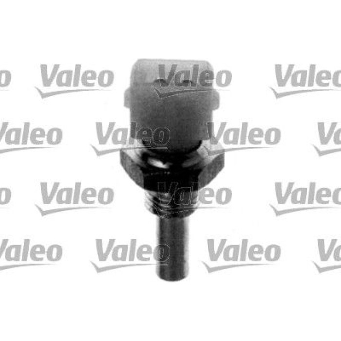 Sensor, Kühlmitteltemperatur 700038