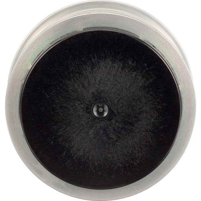 Gates OAP7307 Generatorfreilauf DriveAlign™