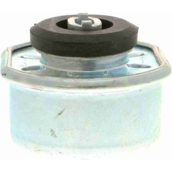 Vaico V10-1323 Lagerung, Motor Vaico V10-1323 Lagerung, Motor