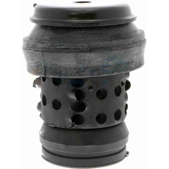 Vaico V10-1181 Lagerung, Motor