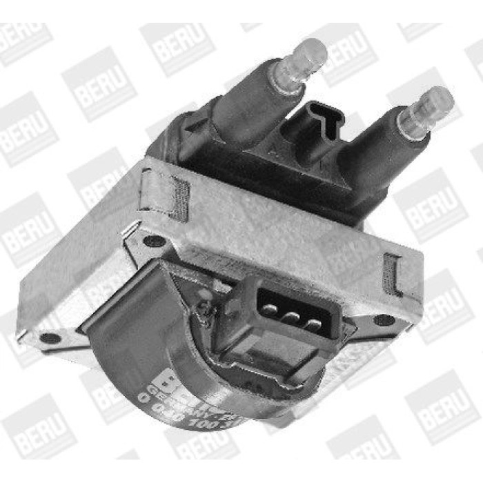 BorgWarner (BERU) ZS317 Zündspule