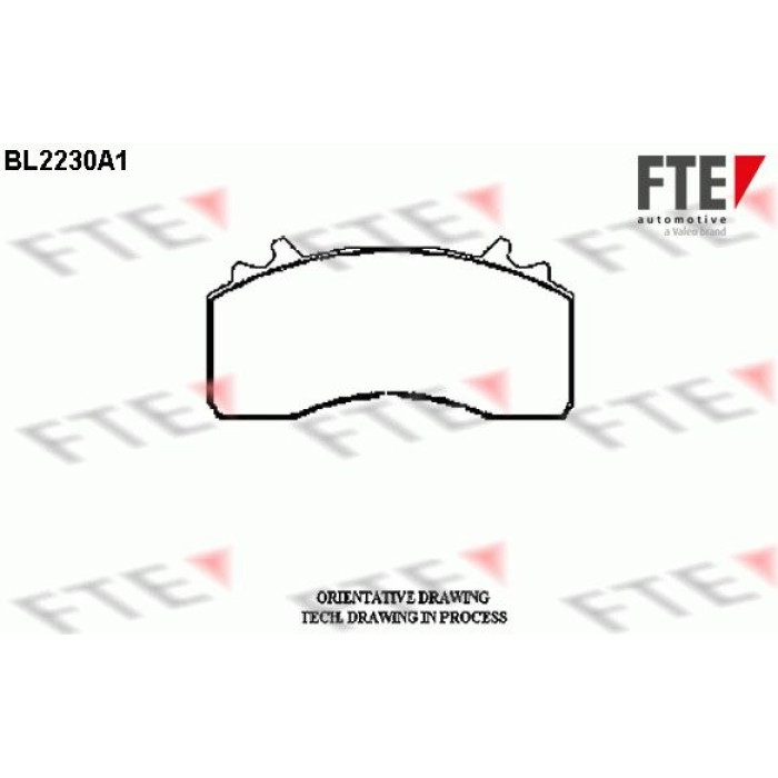 FTE 9500079 Bremsbelagsatz, Scheibenbremse