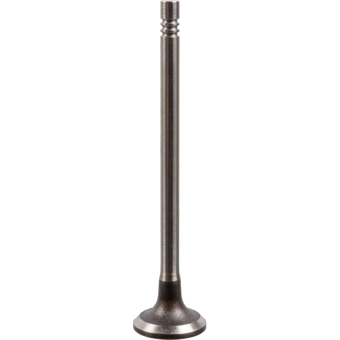 FEBI BILSTEIN 175555 Einlassventil
