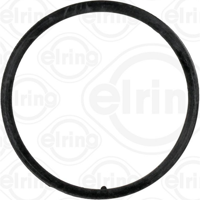 Elring 138.529 Dichtung, Thermostat