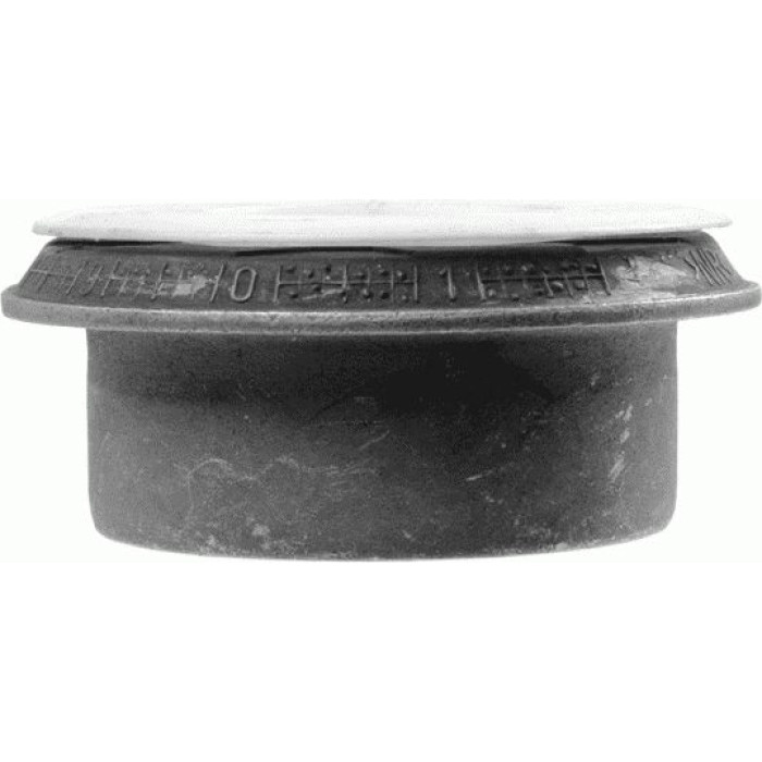 Lemförder 31102 01 Lagerung, Achskörper