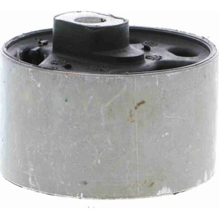 Vaico V10-1124 Lagerung, Motor