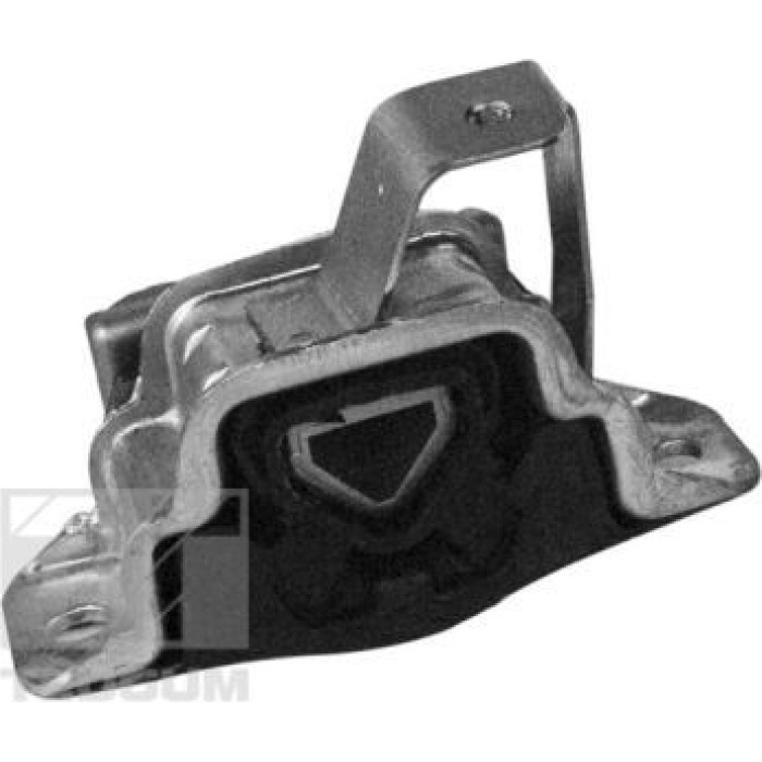 Tedgum 00219490 Lagerung, Motor