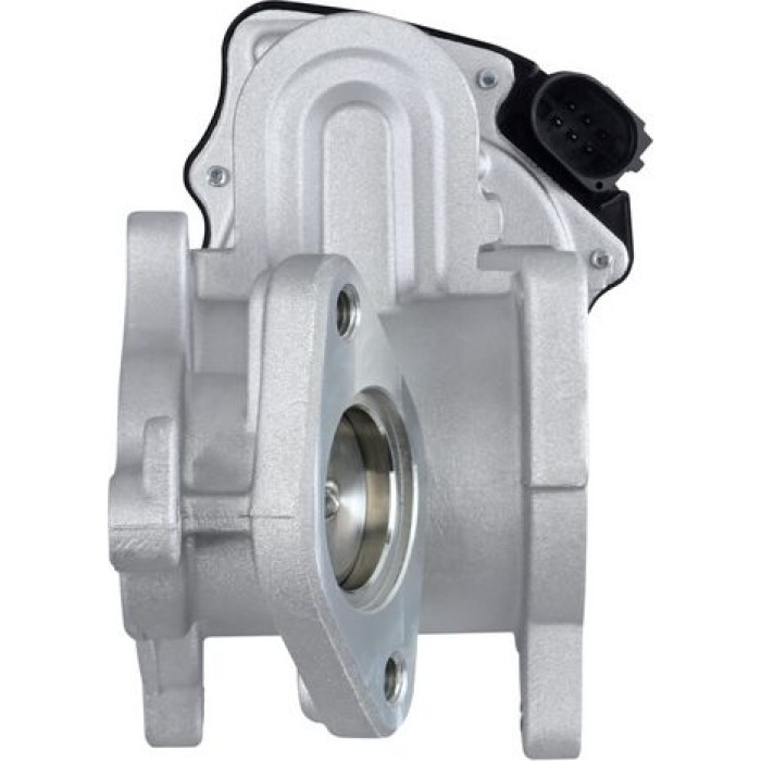 Hella 6NU 010 171-291 AGR-Ventil