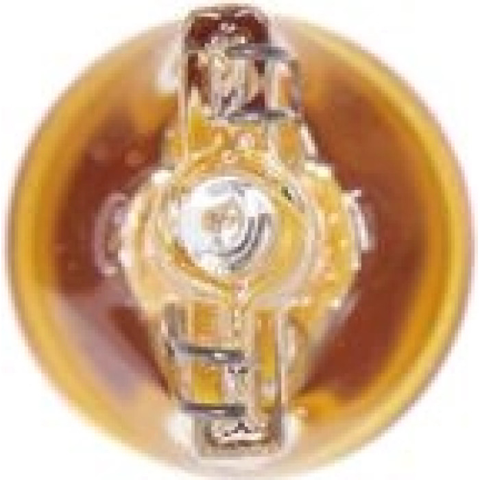 BOSCH 1 987 302 241 Glühlampe, Blinkleuchte Pure Light WS BOSCH 1 987 302 241 Glühlampe, Blinkleuchte Pure Light WS