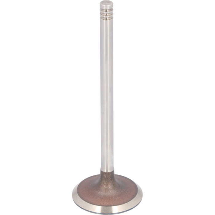 FEBI BILSTEIN 183492 Einlassventil
